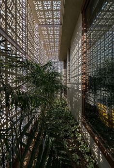 the inside of a building with lots of windows and plants growing on the outside wall