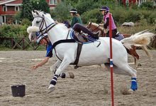 two people riding horses in an arena with one person on the horse and another behind them