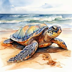 a painting of a turtle on the beach