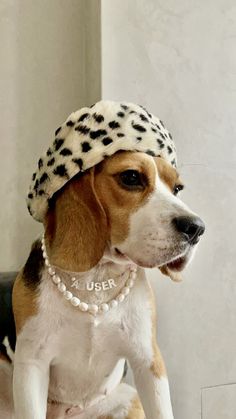 a beagle dog wearing a hat and pearls