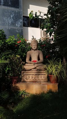 a buddha statue sitting in the middle of some plants and flowers next to a building