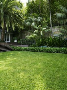 a lush green lawn surrounded by palm trees and landscaping plants in front of a house