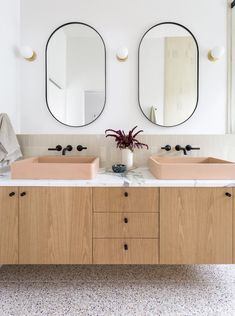 two sinks in a bathroom with mirrors above them and a plant on the counter top