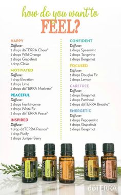 Terra Essential Oils, Doterra Diffuser, Doterra Diffuser Blends, Essential Oil Diffuser Recipes, Oil Diffuser Recipes, Essential Oil Blends Recipes