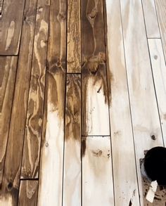 a black and white cat sitting on top of a wooden floor next to a wall