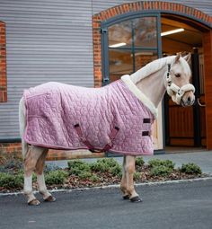 a horse wearing a blanket standing in front of a building