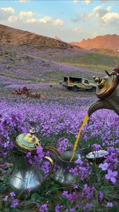 a field full of purple flowers with a horse head watering water from it's faucet