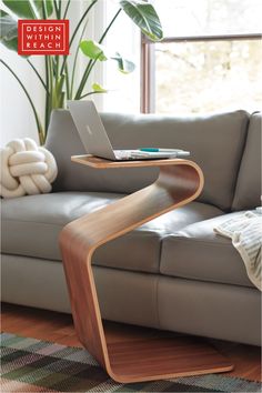 a living room with a couch, coffee table and potted plant