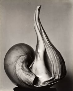 black and white photograph of an abstract sculpture