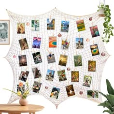 a white net with pictures hanging on it and a potted plant next to it