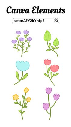 an image of flowers and leaves with the words canva elements on it in different colors