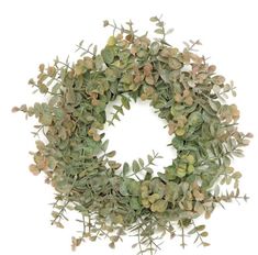 a wreath made out of green leaves on a white background