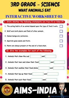 an interactive worksheet for 3rd grade science