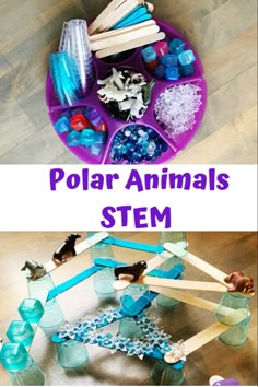 Animals Stem Activities, Polar Animals Preschool, Winter Animals Preschool, Arctic Animals Activities, Arctic Animals Preschool, Animals Preschool, Winter Theme Preschool, Winter Crafts Preschool