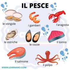 Il pesce in italiano Italian Diet, Airport Travel Outfits, Speak Italian, Italian Posters