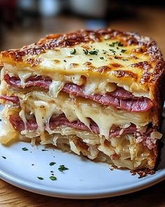 a close up of a plate of food with lasagna and cheese on it