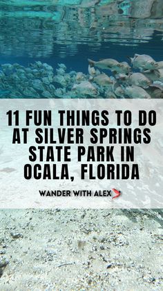 an underwater photo with the words, fun things to do at silver springs state park in ocalaa, florida