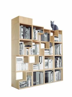 a cat sitting on top of a bookshelf filled with lots of bookcases