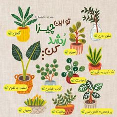 an image of various plants in arabic