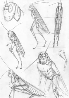 an image of some drawings of bugs and insects