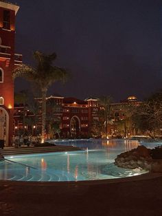 an outdoor swimming pool at night with buildings in the background and palm trees on either side