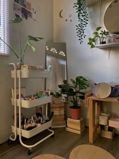 a room filled with lots of different types of items and plants on top of shelves