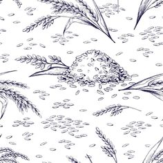 seamless pattern with hand drawn grains and plants