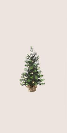 a small christmas tree in a pot with lights on it's top and bottom