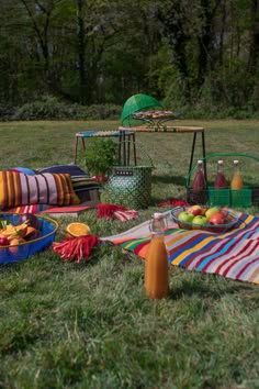 an outdoor picnic with fruit and drinks on the grass