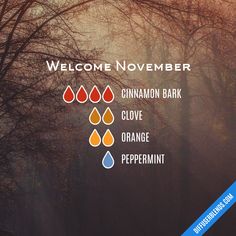 Living Oils Recipes, Welcome November, Doterra Essential Oils Recipes, Autumn Evening, Yl Oils