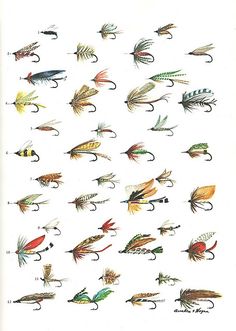 an image of different types of fishing flies