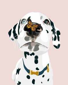 a dalmatian dog with a butterfly on its nose, looking up at the camera