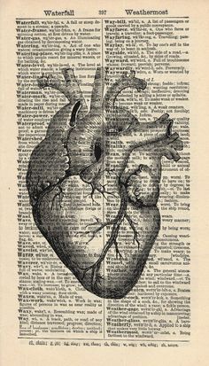 an old book page with a drawing of a human heart