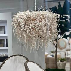 a white chandelier hanging from a ceiling in a room with furniture and plants