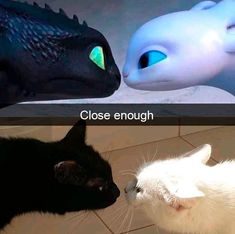 two cats are facing each other in front of a fake toothbrush and the caption says, close enough