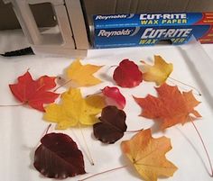 some leaves are laying on a table with glue