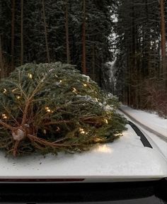 a christmas tree that is laying on the hood of a car covered in snow and lights