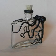 a glass bottle with a black snake inside