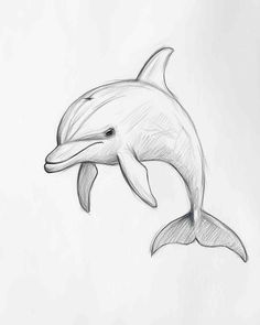 a drawing of a dolphin jumping in the air