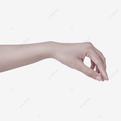 a person's hand reaching out towards the camera on a white background with copy space