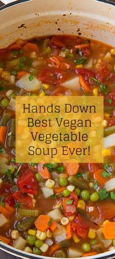 hands down best vegan vegetable soup ever in a pot with the words, hands down best vegan vegetable soup ever