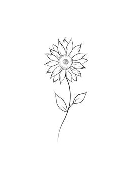 Mini Tattoos Sunflower, Sunflower Drawing Simple Tattoo Ideas, Single Line Sunflower, Sunflower Flash Tattoo, Sunflower Fineline Tattoo, Tiny Sunflower Tattoo Simple, Sunflower Small Tattoo, Simple Sunflower Tattoo Outline, One Line Sunflower