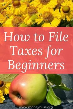 an apple and sunflowers with the title how to file taxes for beginners