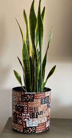 a potted plant sitting on top of a table