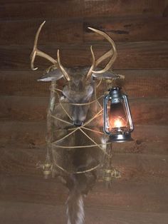 a deer head mounted to the side of a wooden wall with a lantern on it