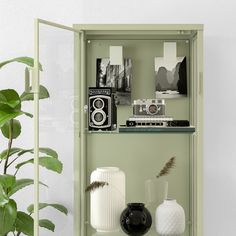 a green shelf with two vases and an old fashioned camera on it, next to a potted plant