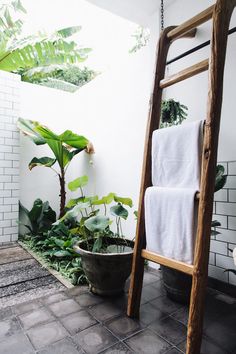 a bathroom with a ladder next to a toilet and plants on the floor in front of it