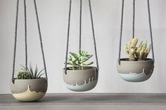 three hanging planters with succulents in them