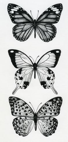 two black and white butterflies are shown on an iphone screen