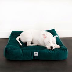 a white dog laying on top of a green bed in the middle of a room